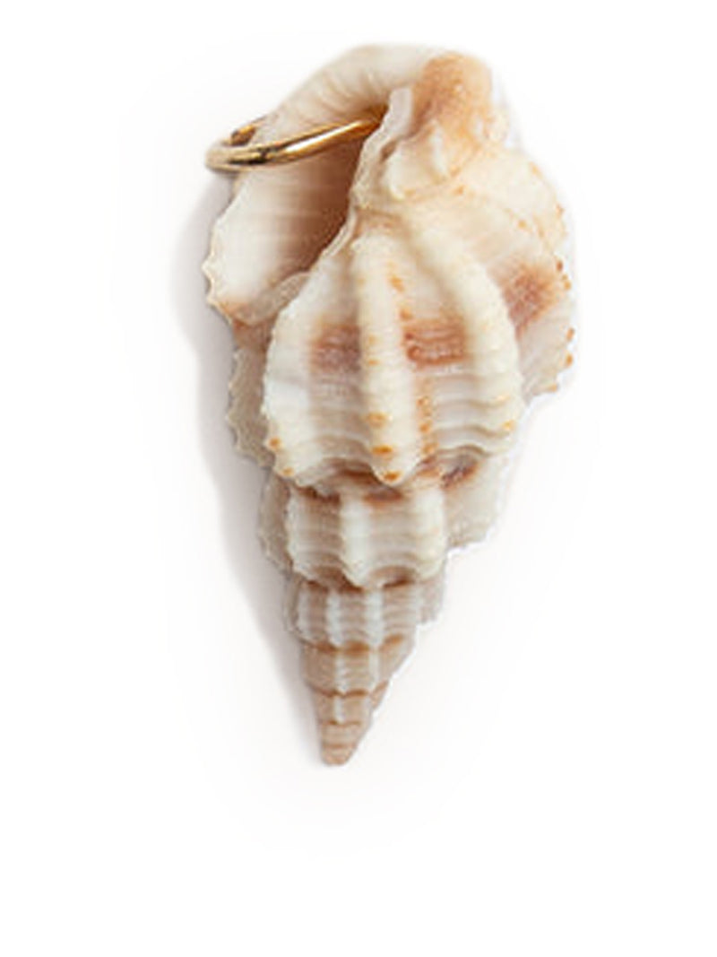 NATURAL SHELL PENDANT