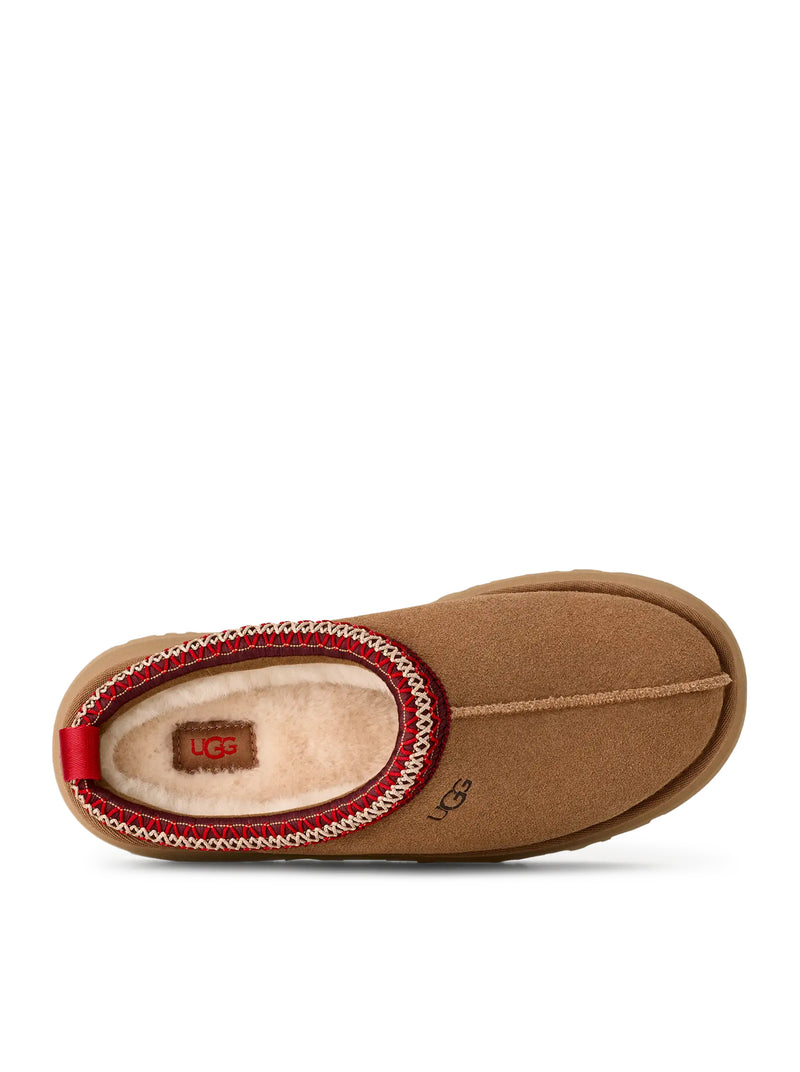 TAZZ II