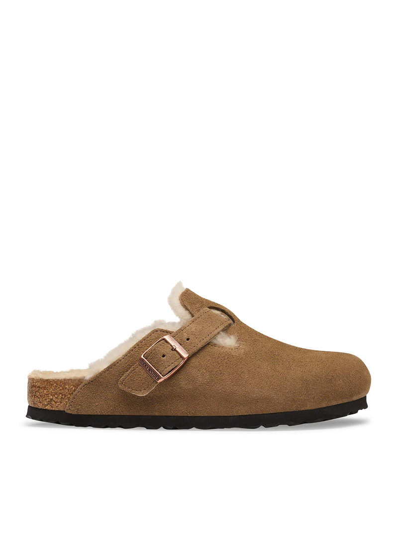 BOSTON IN SHEEPSKIN