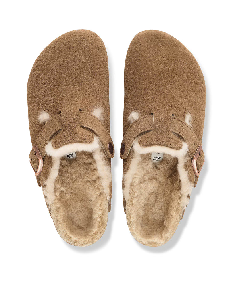 BOSTON IN SHEEPSKIN