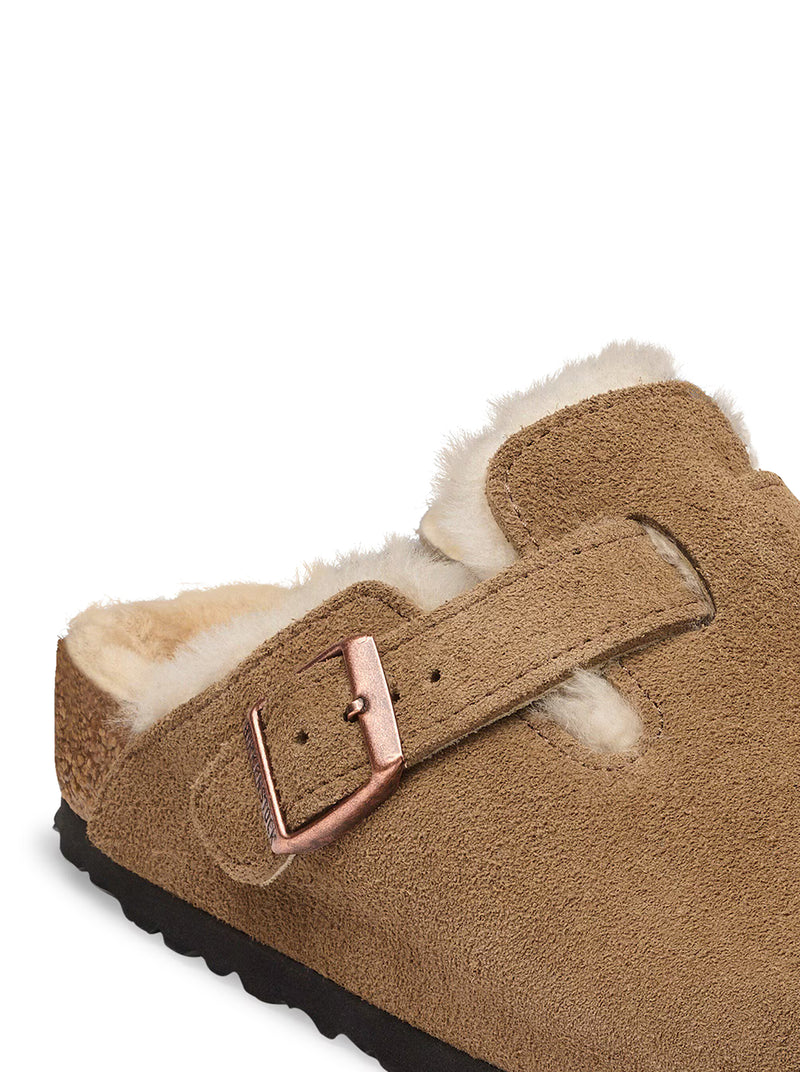 BOSTON IN SHEEPSKIN