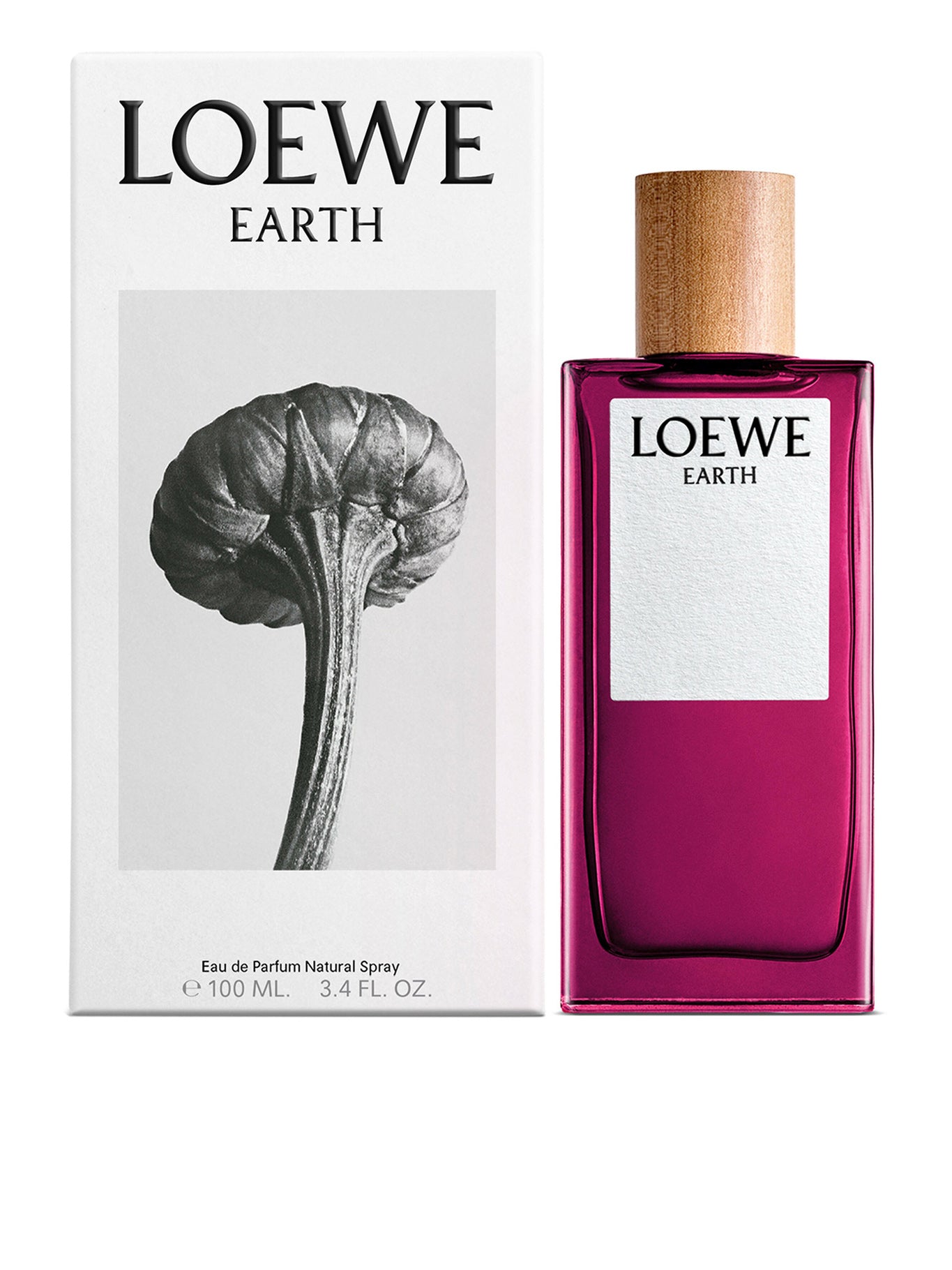 LOEWE Earth Eau de Parfum 100ML