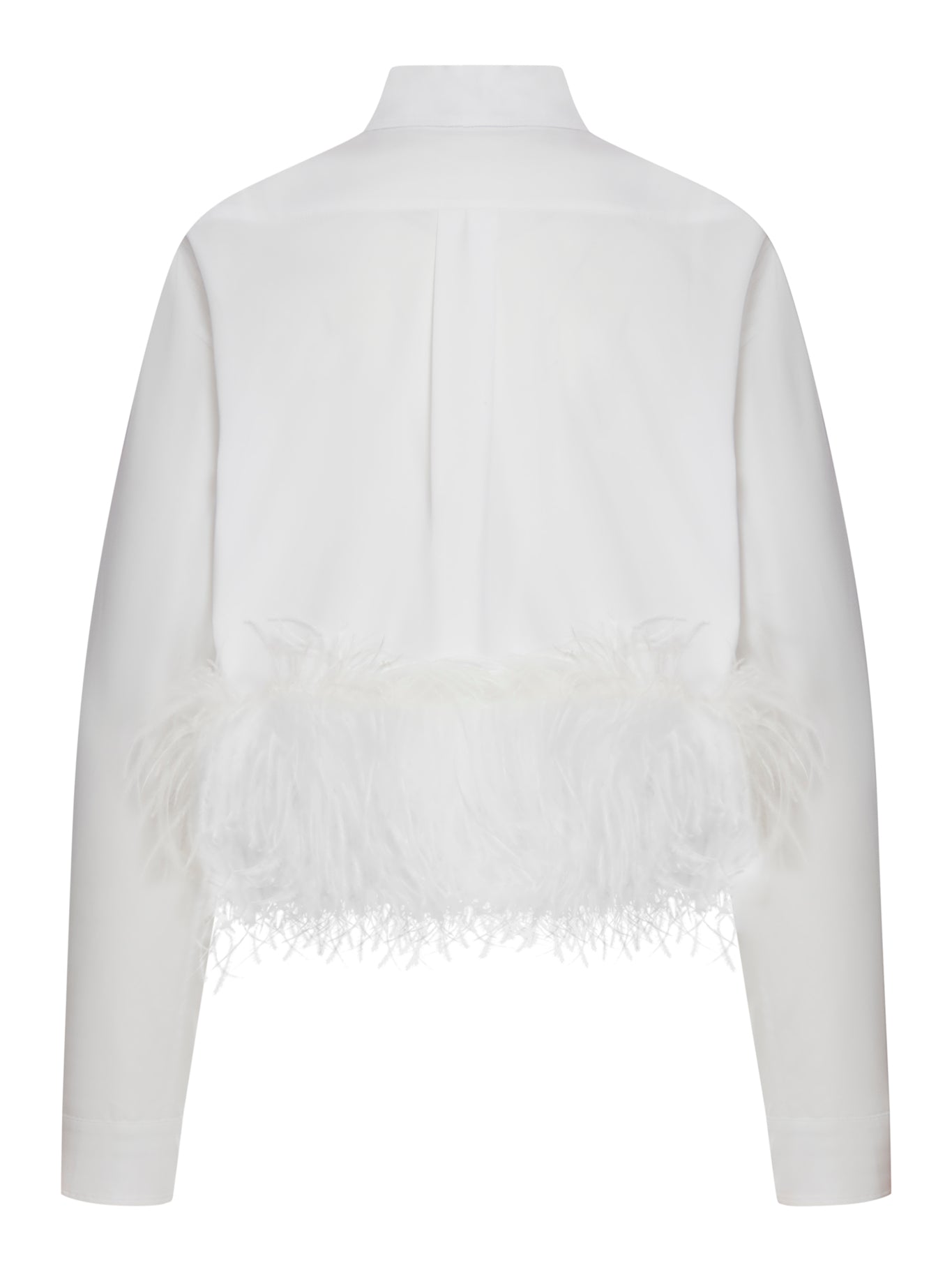 crop shirt with feathers