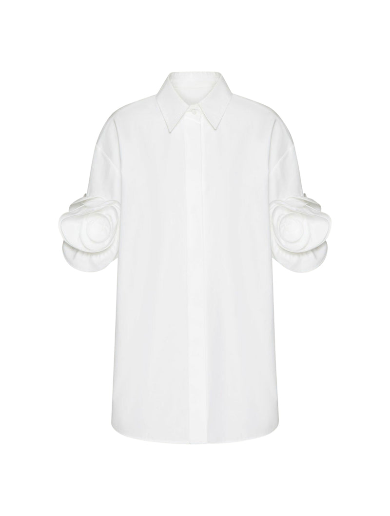SHIRT SOLID COMPACT POPELINE